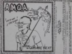 AMQA : Cats Are Neat